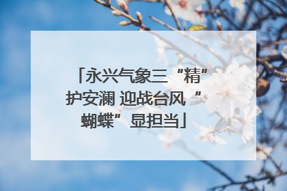 永兴气象三“精”护安澜 迎战台风“蝴蝶”显担当