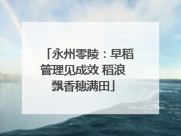 永州零陵：早稻管理见成效 稻浪飘香穗满田