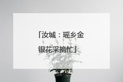 汝城：瑶乡金银花采摘忙