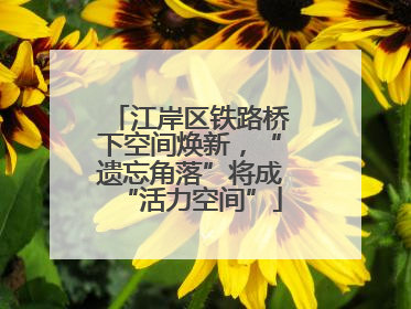 江岸区铁路桥下空间焕新，“遗忘角落”将成“活力空间”