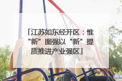 江苏如东经开区：惟“新”图强以“新”提质推进产业强区
