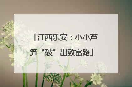 江西乐安：小小芦笋“破”出致富路