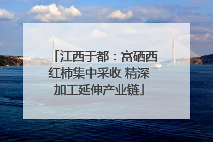 江西于都：富硒西红柿集中采收 精深加工延伸产业链