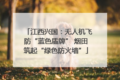 江西兴国：无人机飞防“蓝色盾牌” 烟田筑起“绿色防火墙”
