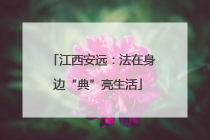 江西安远：法在身边“典”亮生活
