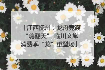 江西抚州：龙舟竞渡“嗨翻天” 临川文旅消费季“龙”重登场