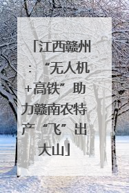 江西赣州：“无人机+高铁”助力赣南农特产“飞”出大山
