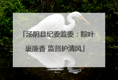 汤阴县纪委监委：粽叶裹廉香 监督护清风