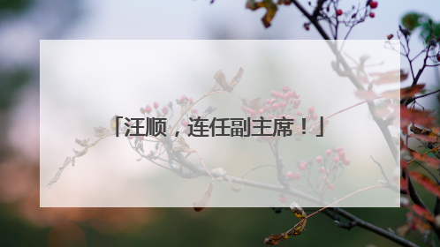 汪顺，连任副主席！