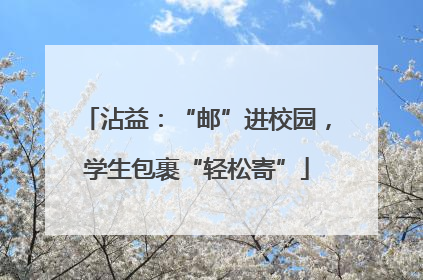 沾益：“邮”进校园，学生包裹“轻松寄”