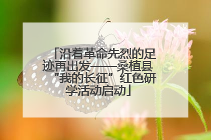 沿着革命先烈的足迹再出发——桑植县“我的长征”红色研学活动启动