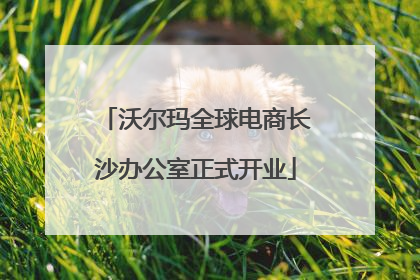 沃尔玛全球电商长沙办公室正式开业