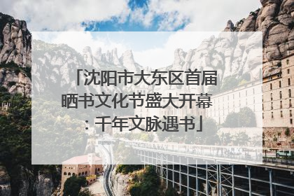 沈阳市大东区首届晒书文化节盛大开幕：千年文脉遇书