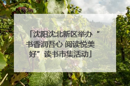 沈阳沈北新区举办“书香润吾心 阅读悦美好”读书市集活动