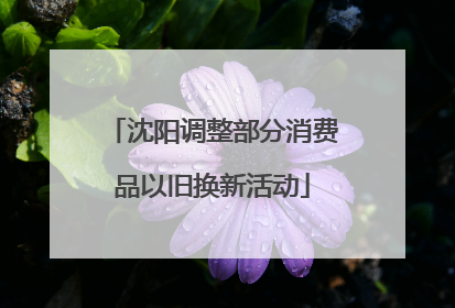 沈阳调整部分消费品以旧换新活动
