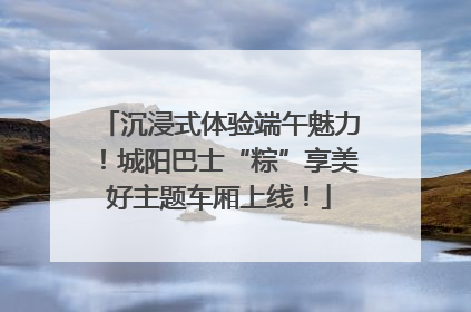 沉浸式体验端午魅力！城阳巴士“粽”享美好主题车厢上线！