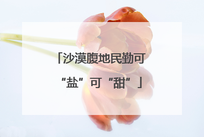 沙漠腹地民勤可“盐”可“甜”