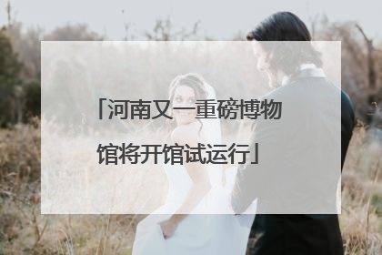 河南又一重磅博物馆将开馆试运行