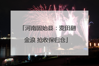 河南固始县：麦田翻金浪 抢收保归仓
