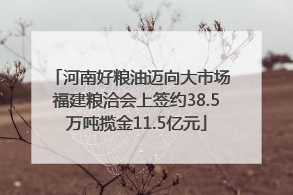 河南好粮油迈向大市场 福建粮洽会上签约38.5万吨揽金11.5亿元