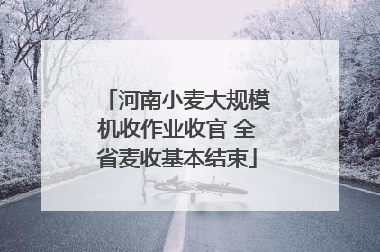 河南小麦大规模机收作业收官 全省麦收基本结束