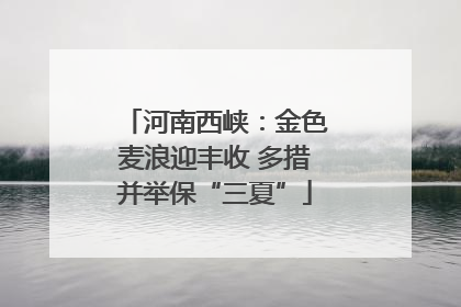 河南西峡：金色麦浪迎丰收 多措并举保“三夏”