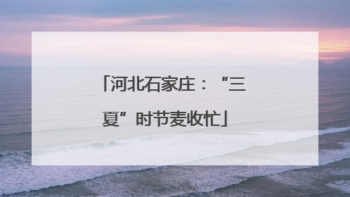 河北石家庄：“三夏”时节麦收忙