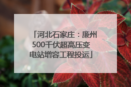 河北石家庄：廉州500千伏超高压变电站增容工程投运