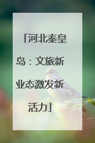 河北秦皇岛：文旅新业态激发新活力