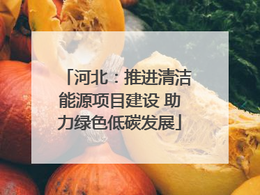 河北：推进清洁能源项目建设 助力绿色低碳发展