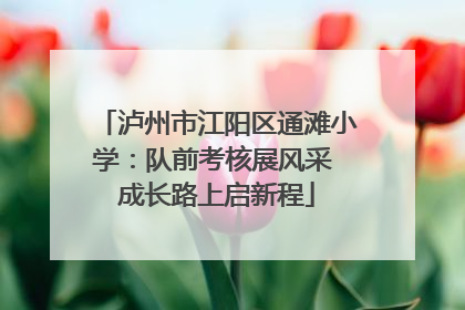 泸州市江阳区通滩小学：队前考核展风采 成长路上启新程