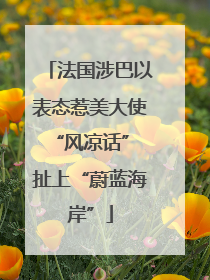 法国涉巴以表态惹美大使“风凉话” 扯上“蔚蓝海岸”