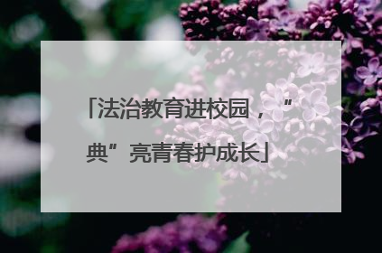 法治教育进校园，“典”亮青春护成长