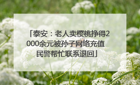 泰安：老人卖樱桃挣得2000余元被孙子网络充值 民警帮忙联系退回