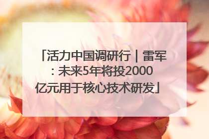活力中国调研行｜雷军：未来5年将投2000亿元用于核心技术研发