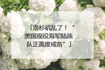 洛杉矶乱了！“美国现役海军陆战队正高度戒备”