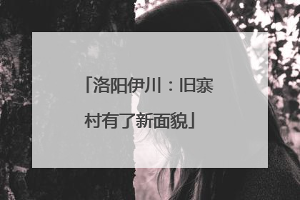 洛阳伊川：旧寨村有了新面貌