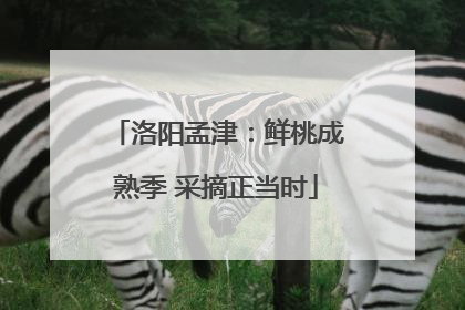 洛阳孟津：鲜桃成熟季 采摘正当时