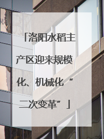洛阳水稻主产区迎来规模化、机械化“二次变革”