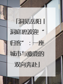 洞见岳阳丨洞庭碧波迎“归客”：一座城市与麋鹿的双向奔赴
