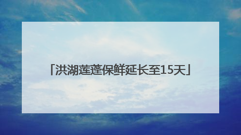 洪湖莲蓬保鲜延长至15天