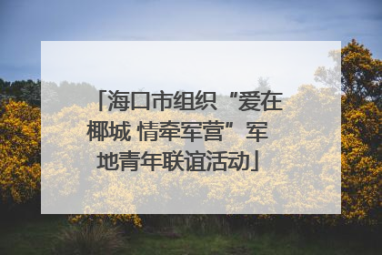 海口市组织“爱在椰城 情牵军营”军地青年联谊活动