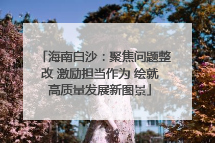 海南白沙：聚焦问题整改 激励担当作为 绘就高质量发展新图景