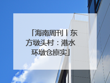 海南周刊丨东方墩头村：港水环墩仓廪实