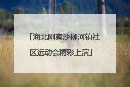 海北刚察沙柳河镇社区运动会精彩上演