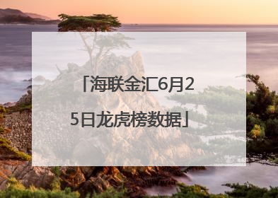 海联金汇6月25日龙虎榜数据