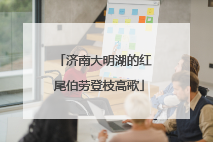 济南大明湖的红尾伯劳登枝高歌