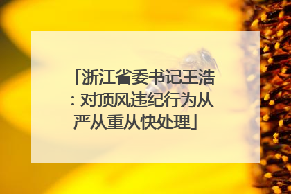 浙江省委书记王浩：对顶风违纪行为从严从重从快处理