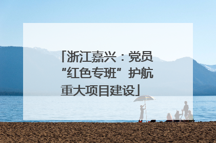 浙江嘉兴：党员“红色专班”护航重大项目建设