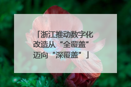 浙江推动数字化改造从“全覆盖”迈向“深覆盖”